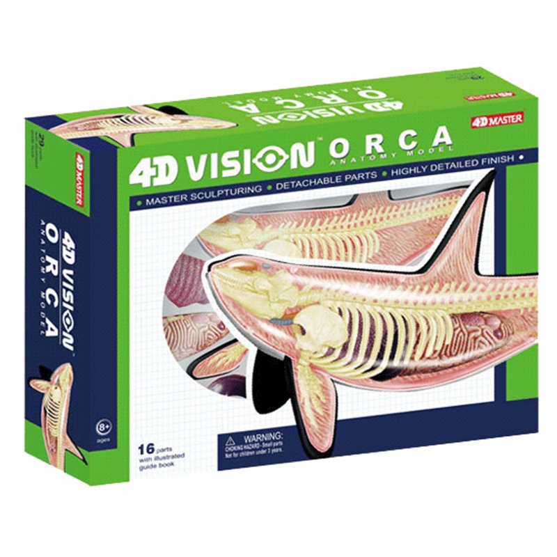 Medical Lab Technology - 4D Görüş Orca Balina İskeleti Anatomisi