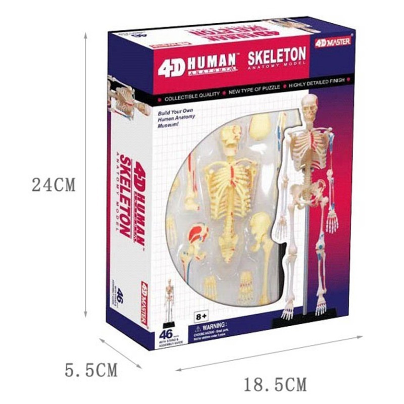 4d İnsan Tam İskelet Anatomisi - Medical Lab Technology incelemesi ve fiyatı